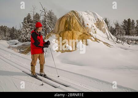 WY04600-00....WYOMING - Park Besucher auf dem präparierten Upper Terrace Ski Trail am bunten Orange Spring Mound in Mammoth Hot Springs im Yellowstone NP Stockfoto