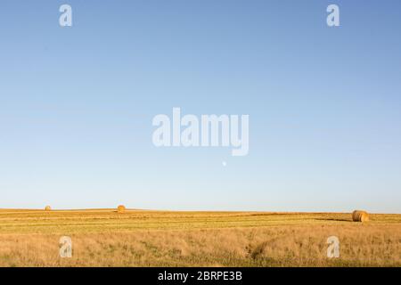 Heurollen leuchten am späten Nachmittag, wenn die Sonne auf einem abgelegenen, ländlichen Bauernhof in Montana untergeht. Stockfoto