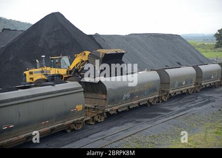 Ein Payloader füllt Eisenbahnwaggons an einem Gleisanleger mit Kohle Stockfoto