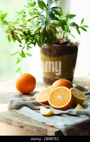 Rustikales Frühstück. Reife saftige ganze Orangen und Hälften auf einem baumwollgrauen Waffeltuch auf einem Hintergrund einer grünen Blume in einem Topf nahe dem Fenster. Vitami Stockfoto