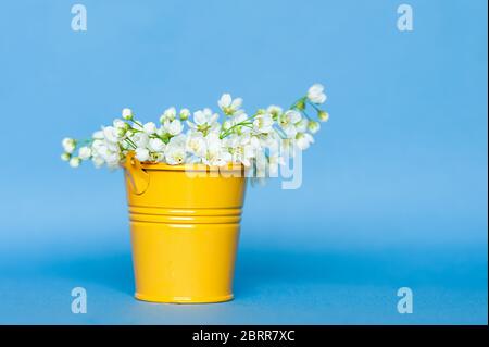 Dekor ein metallisch-gelber Eimer voller blühender weißer Kirschblüten auf einem klaren blauen Hintergrund. Minimalistisches Dekor für Haus und Garten Stockfoto