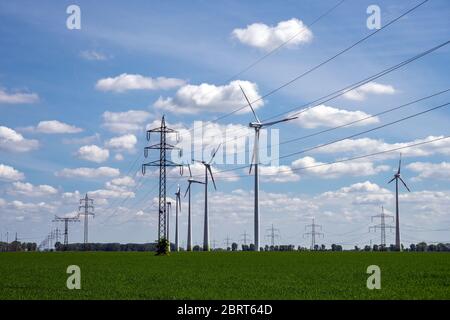 Freileitungen und Windturbinen in einem Kornfeld gesehen In Deutschland Stockfoto