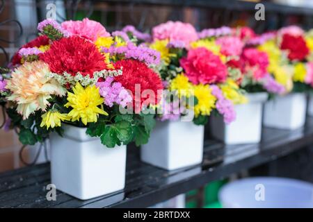 Bunte Blumensträuße in weißen Vasen Stockfoto