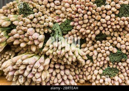 Frühlingszwiebeln, auch bekannt als Salat Zwiebeln, Schalotten oder Zwiebeln Grün auf dem Markt Stockfoto