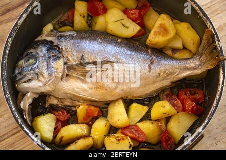 Gebackene Brassen mit Kartoffeln und Tomaten in einer Backform Stockfoto