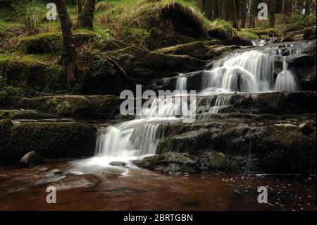 Kaskade auf Nant Bwrefwr, etwa auf halbem Weg zwischen dem Parkplatz und dem Afon Caerfanell. Stockfoto