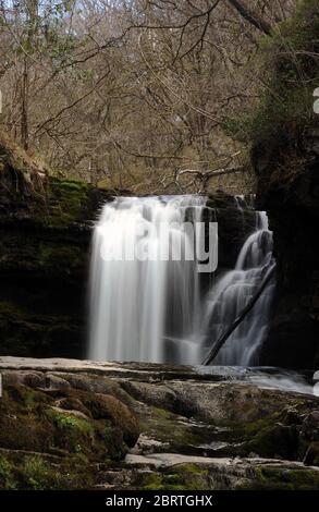 Sgwd Ddwli Isaf, Afon Nedd. Stockfoto