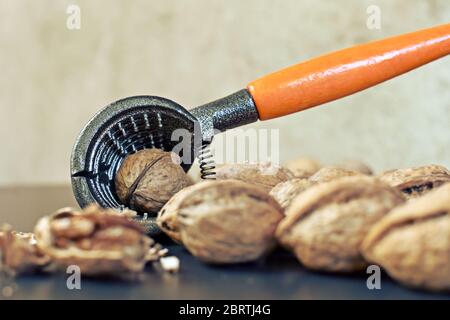 Nahaufnahme eines offenen Nussknackers mit Nüssen herum. Stockfoto