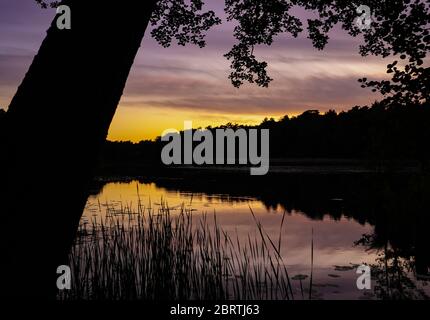 Kersdorf, Deutschland. Mai 2020. Der Abendhimmel leuchtet bei Sonnenuntergang bunt und spiegelt sich im Wasser des Kersdorfer See, einem Naturschutzgebiet in der oder-Spree. Quelle: Patrick Pleul/dpa-Zentralbild/ZB/dpa/Alamy Live News Stockfoto