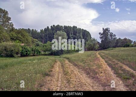 Schöne Häuser in der Natur, umgeben von viel Grün. Zu jedem Haus führt eine separate Straße. Stockfoto