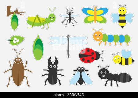 Verschiedene bunte Insekten Bilder für Kinder, Spaß Bildung Spiel für Kinder, Vorschule Aktivität, Satz von Stickern, Vektor-Illustration Stock Vektor