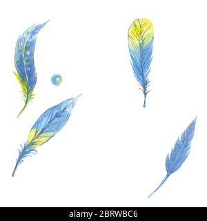 Set mit Aquarellfedern. Handgezeichnete Illustration Stock Vektor