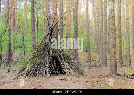 Primitiver Schutz vor allen natürlichen Materialien. Waldhütte im Sommer Wald. Stockfoto