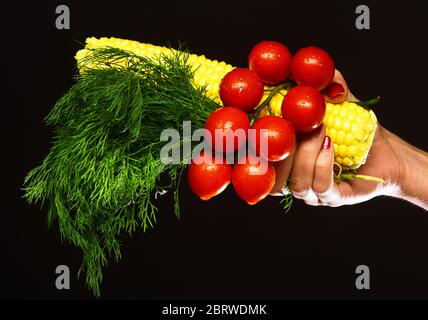 Weibliche Hand hält Gemüse und Haufen Dill isoliert auf schwarzem Hintergrund. Landwirtschaft und Herbstpflanzen Konzept. Zusammensetzung von Maiskolben, Kirschtomaten und grüne Pflanze. Herbst Mais Ernte Idee Stockfoto