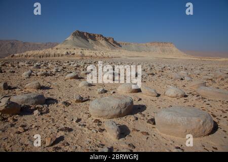 Israel, Negev Wüstenlandschaft. Das Bulbus Felde vor dem Mount Zin. Bulbus ist ein arabischer Name für Kartoffeln. Diese kartoffelförmigen Felsen sind foun Stockfoto