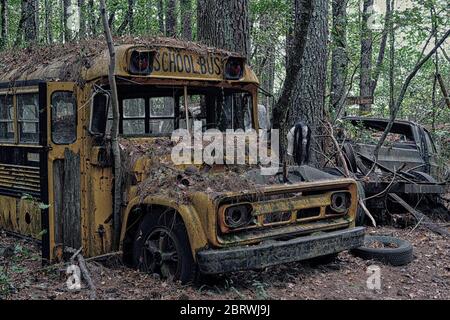 Old verlassene Schule Bus in Woods Stockfoto