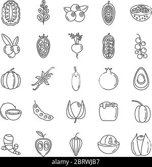 Moderne Superfood-Symbole gesetzt. Umriss Set von modernen Superfood Vektor-Icons für Web-Design isoliert auf weißem Hintergrund Stock Vektor