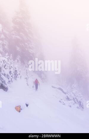 Ein Mann im Schneewald mit Nebel im Mt Raenier Nationalpark, Washington, usa. Stockfoto