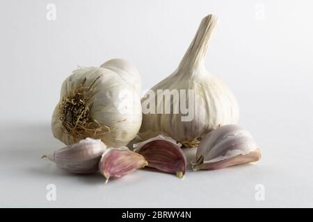 Knoblauchkopf und Knoblauchzehen auf weißem Hintergrund isoliert Stockfoto