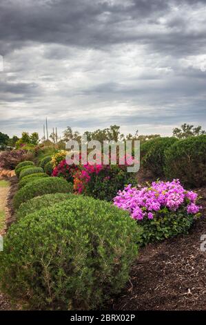 Der wunderschöne Kontrast zwischen den wunderschön gepflegten Gärten und dem brodelnd Himmel von Georgetown im Etheridge Shire von Far North Queensland. Stockfoto