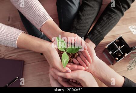 Nachhaltige grüne Unternehmen Vertrauen Ökologie Partner. Stockfoto