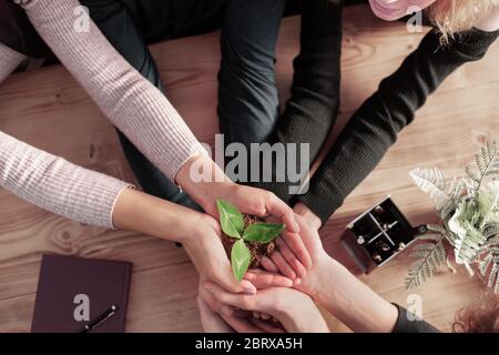 Nachhaltige grüne Unternehmen Vertrauen Ökologie Partner. Stockfoto