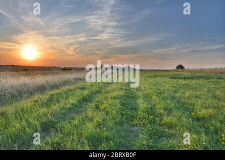 Sonnenuntergang über Sommerwiesen in Polen Stockfoto