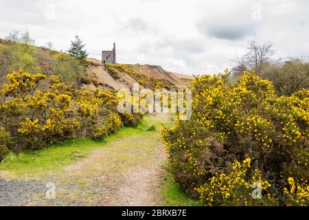 Die Ruine des Motorenhauses der Wheal Betsy Mine mit seinem schiefen Kamin, in der Nähe von Mary Tavy, Dartmoor National Park, Devon, England, Großbritannien. Stockfoto