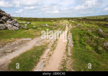 Haytor Granite Tramway (1820) wurde gebaut, um Granit von Haytor Quarry zum Stover Kanal zu transportieren. Dartmoor National Park, Devon, England, U. Stockfoto