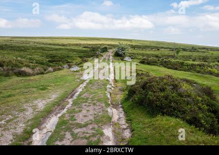 Haytor Granite Tramway (1820) wurde gebaut, um Granit von Haytor Quarry zum Stover Kanal zu transportieren. Dartmoor National Park, Devon, England, U. Stockfoto