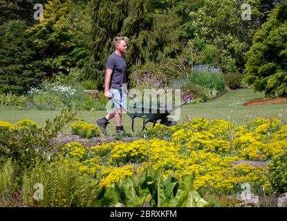 Der Floral Team Leader Russ Watkins ist im Garten von RHS Harlow Carr in North Yorkshire. Stockfoto