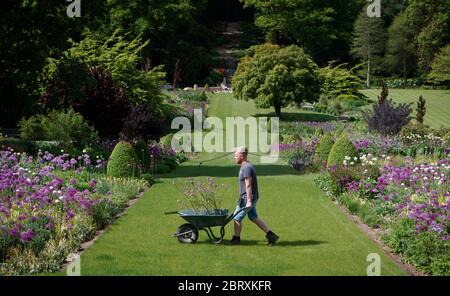 Der Floral Team Leader Russ Watkins ist im Garten von RHS Harlow Carr in North Yorkshire. Stockfoto