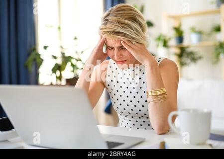 Frustrierte junge Geschäftsfrau mit Laptop im Home Office, die arbeitet. Stockfoto