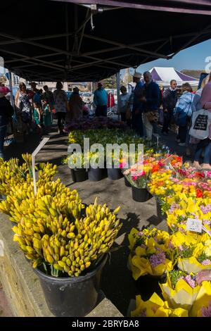 Leute kaufen Narzissen und Ranunkeln am Blumenstand auf dem wöchentlichen Samstagmarkt auf dem Parkplatz der Union Road, High Street in Deal, Kent Stockfoto