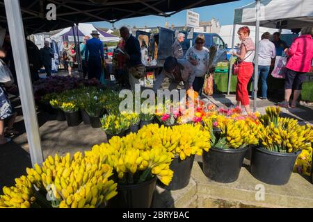 Leute kaufen Narzissen und Ranunkeln am Blumenstand auf dem wöchentlichen Samstagmarkt auf dem Parkplatz der Union Road, High Street in Deal, Kent Stockfoto