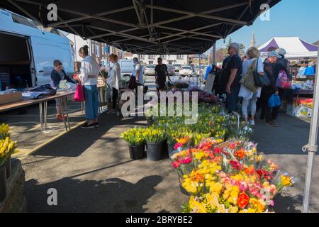 Leute kaufen Narzissen und Ranunkeln am Blumenstand auf dem wöchentlichen Samstagmarkt auf dem Parkplatz der Union Road, High Street in Deal, Kent Stockfoto