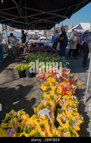 Leute kaufen Narzissen und Ranunkeln am Blumenstand auf dem wöchentlichen Samstagmarkt auf dem Parkplatz der Union Road, High Street in Deal, Kent Stockfoto