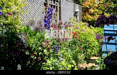 Eine Fülle von Blumen in einem Garten im Landhausstil Stockfoto