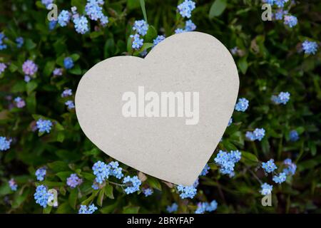 Ein Herz aus Papier auf Blumen (Vergiss-mich-nicht) ist ein Symbol der Liebe Stockfoto