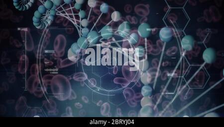 DNA-Stamm mit roten Zellen und Molekül auf blauem Hintergrund Stockfoto