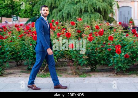 Junge attraktive Geschäftsmann geht zuversichtlich in Park mit roten Blumen Stockfoto