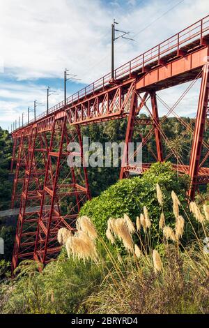 Makatote Viaduct, nahe Erua, Manawatu-Whanganui, Nordinsel, Neuseeland Stockfoto