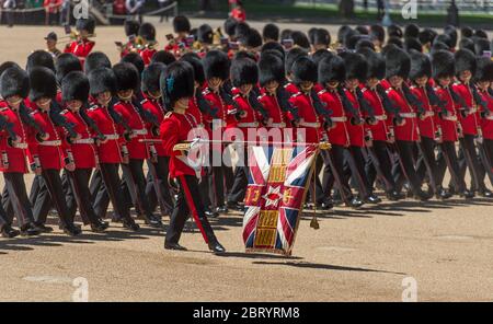 Juni 2017. The Colonels Review 2017, die Abschlussprobe für Trooping the Color, Horse Guards Parade, London, Großbritannien Stockfoto