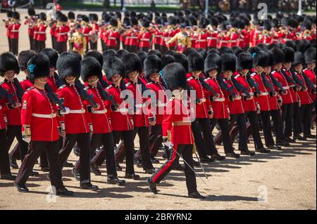 Juni 2017. The Colonels Review 2017, die Abschlussprobe für Trooping the Color, Horse Guards Parade, London, Großbritannien Stockfoto