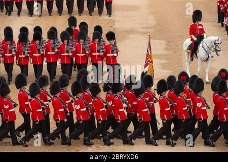 Juni 2016. The Colonels Review 2016 in Horse Guards Parade, die Abschlussprobe vor Trooping the Color, London, Großbritannien Stockfoto