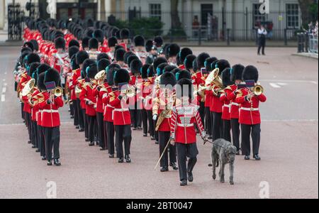 Vorbereitungen für die Major Generals Review, 3. Juni 2017, fotografiert vom Queen Victoria Memorial, London, Großbritannien Stockfoto