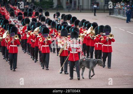 Vorbereitungen für die Major Generals Review, 3. Juni 2017, fotografiert vom Queen Victoria Memorial, London, Großbritannien Stockfoto