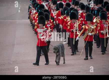 Vorbereitungen für die Major Generals Review, 3. Juni 2017, fotografiert vom Queen Victoria Memorial, London, Großbritannien Stockfoto