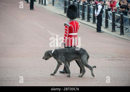 Vorbereitungen für die Major Generals Review, 3. Juni 2017, fotografiert vom Queen Victoria Memorial, London, Großbritannien Stockfoto