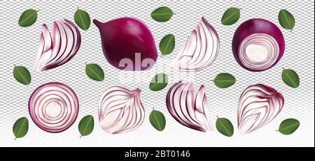 Set von roten Zwiebeln mit Blättern auf transparentem Hintergrund. Fliegende rote Zwiebel sind ganz und in zwei Hälften geschnitten. 3D realistische rote Zwiebel geschnitten, halb, Stück. Bio-Produkt. Vektorgrafik. Stock Vektor